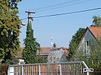 Třibřichy