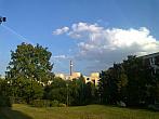 Borovina