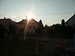Třibřichy