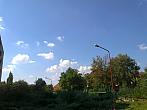 Borovina