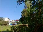 Borovina
