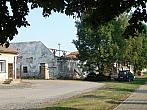Třibřichy