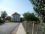 Třibřichy