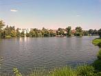 Borovina