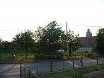 Třibřichy
