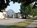 Třibřichy