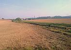 Borovina