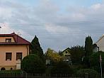Třibřichy