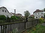 Třibřichy