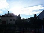Třibřichy
