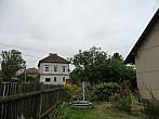 Třibřichy