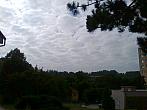 Borovina