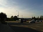 Borovina