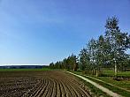 Vidov