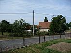 Třibřichy