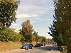 Borovina