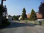 Třibřichy