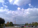Borovina