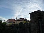 Třibřichy