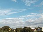Hořice - Libonice
