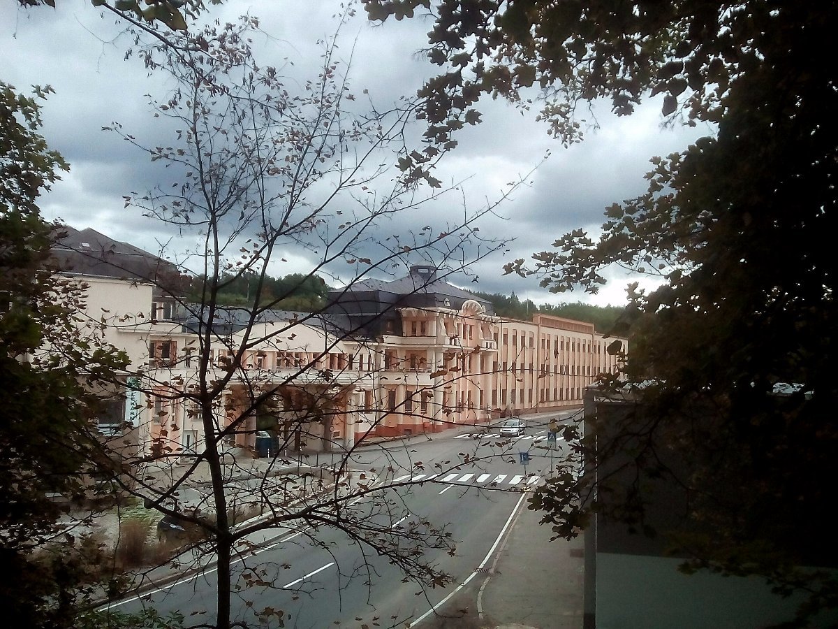 Borovina