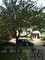 Kroměříž