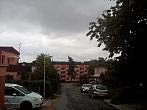 Borovina