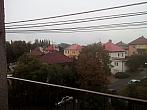 Borovina