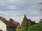 Třibřichy