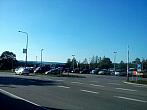 Borovina