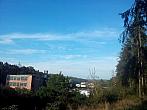 Borovina