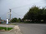 Třibřichy