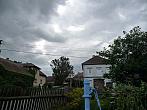 Třibřichy