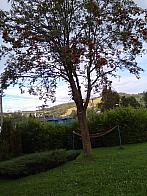 Skalité
