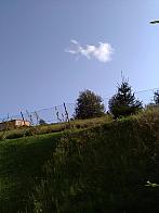 Skalité