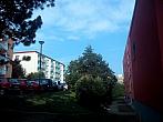 Borovina