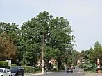 Neratovice