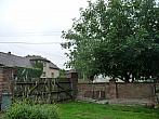 Třibřichy