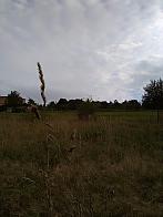 Skalité