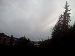 Borovina
