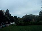 Borovina