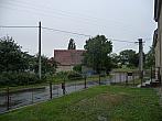 Třibřichy