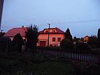 Třibřichy