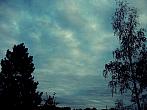 Borovina
