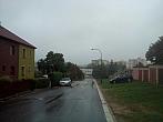 Borovina
