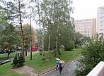 Borovina