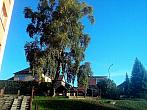 Borovina
