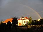 Třibřichy