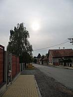 Třibřichy