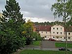 Borovina